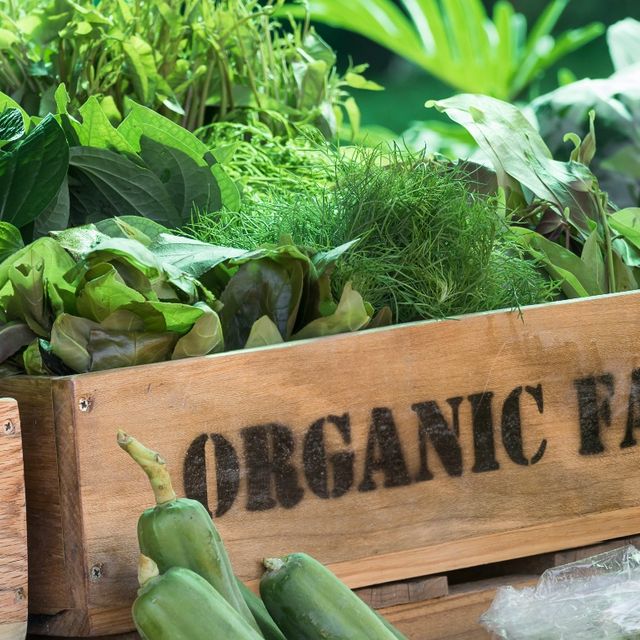 comida verde y organica